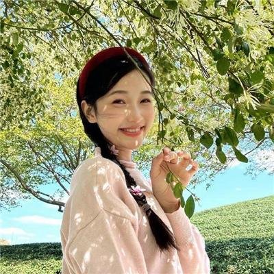 完美的独裁国家